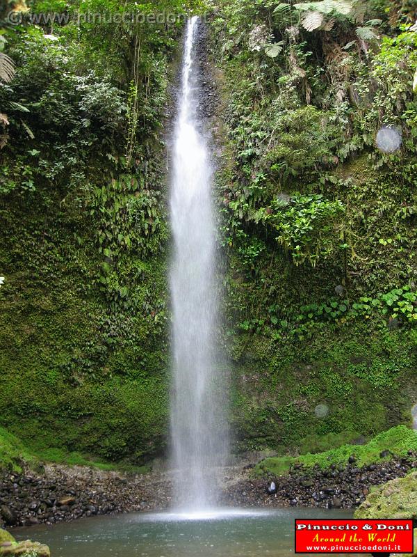 ECUADOR - Foresta Amazzonica - 22.jpg